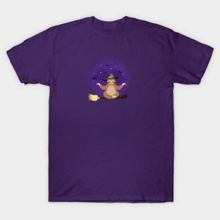 Sloth meditating on witch broom T-Shirt